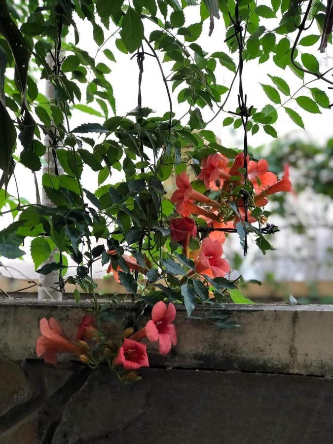 Hidden Hue Homestay Kültér fotó